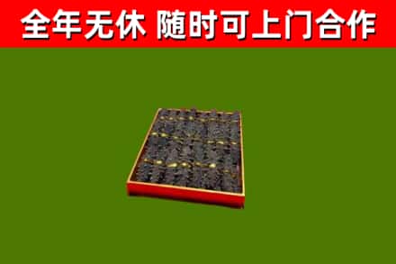 嫩江烟酒回收海参.jpg